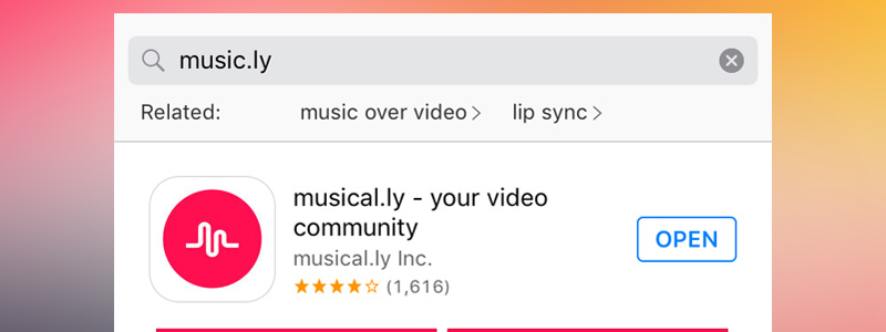 what-is-musical-ly